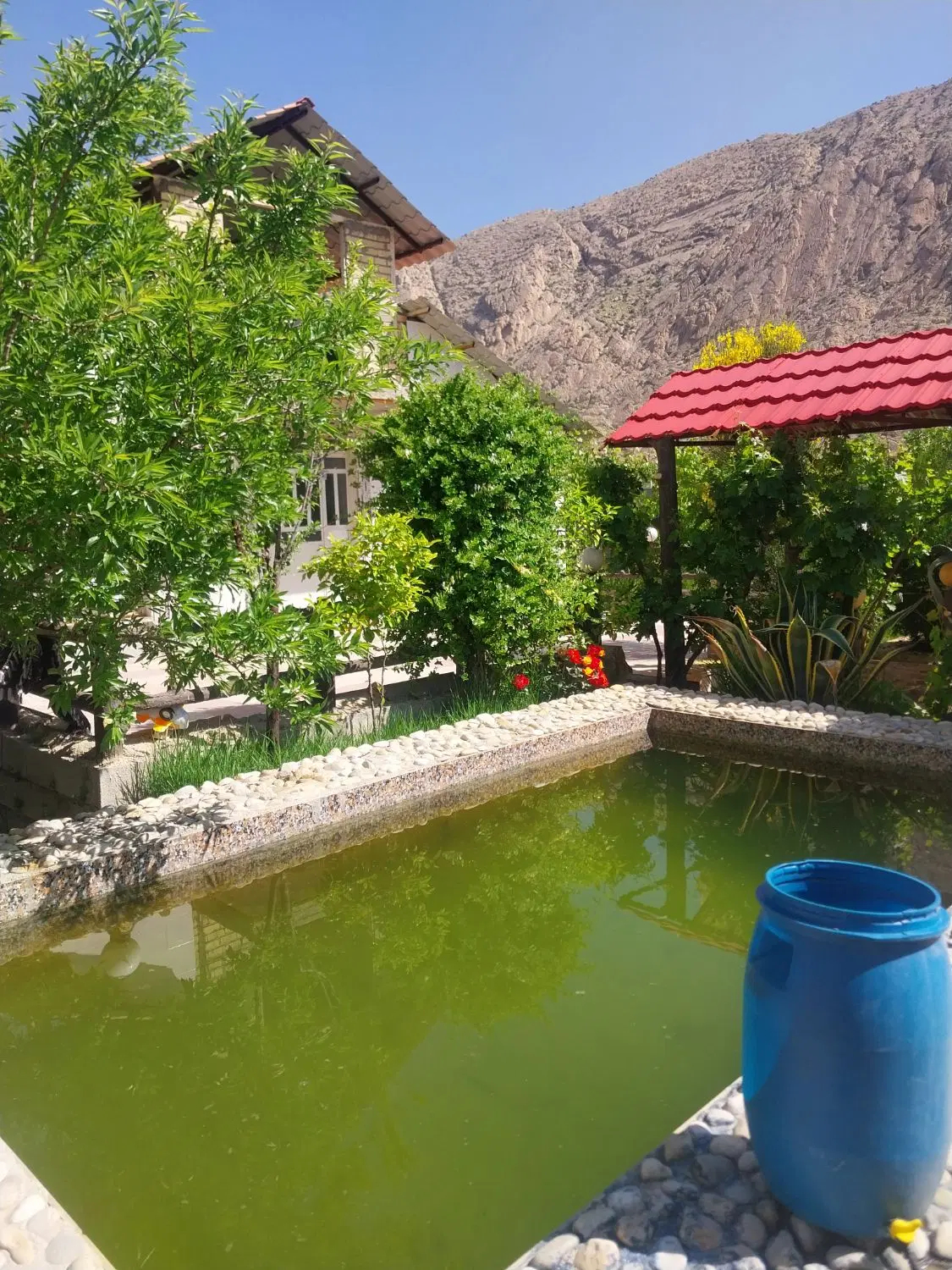 باغ شهری