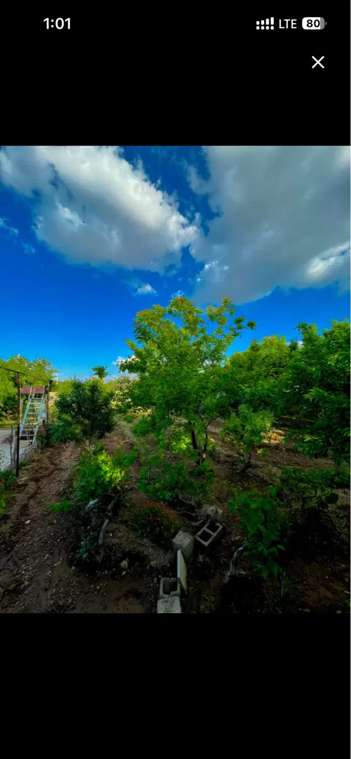خانه باغ