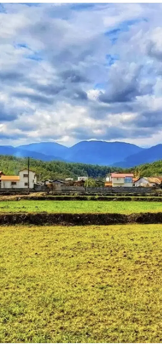 زمین چمستان امل توران کلا