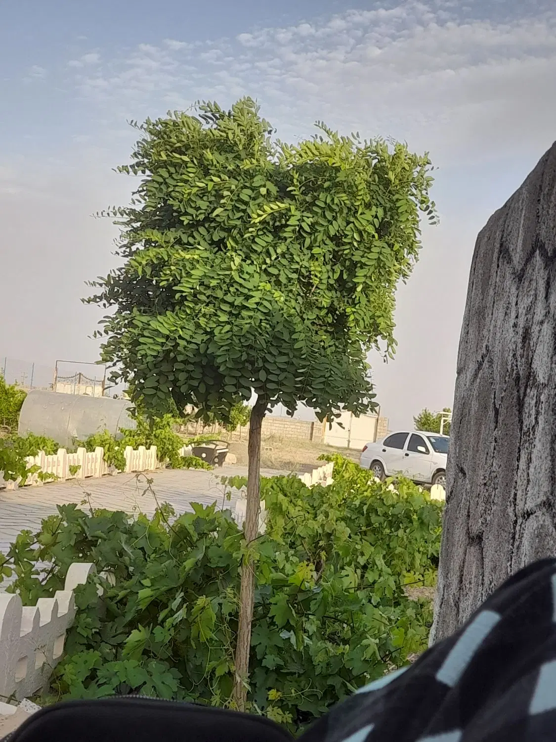 زمین دارای خونه وباربیکیو واتاق سرامیک  دستشویی