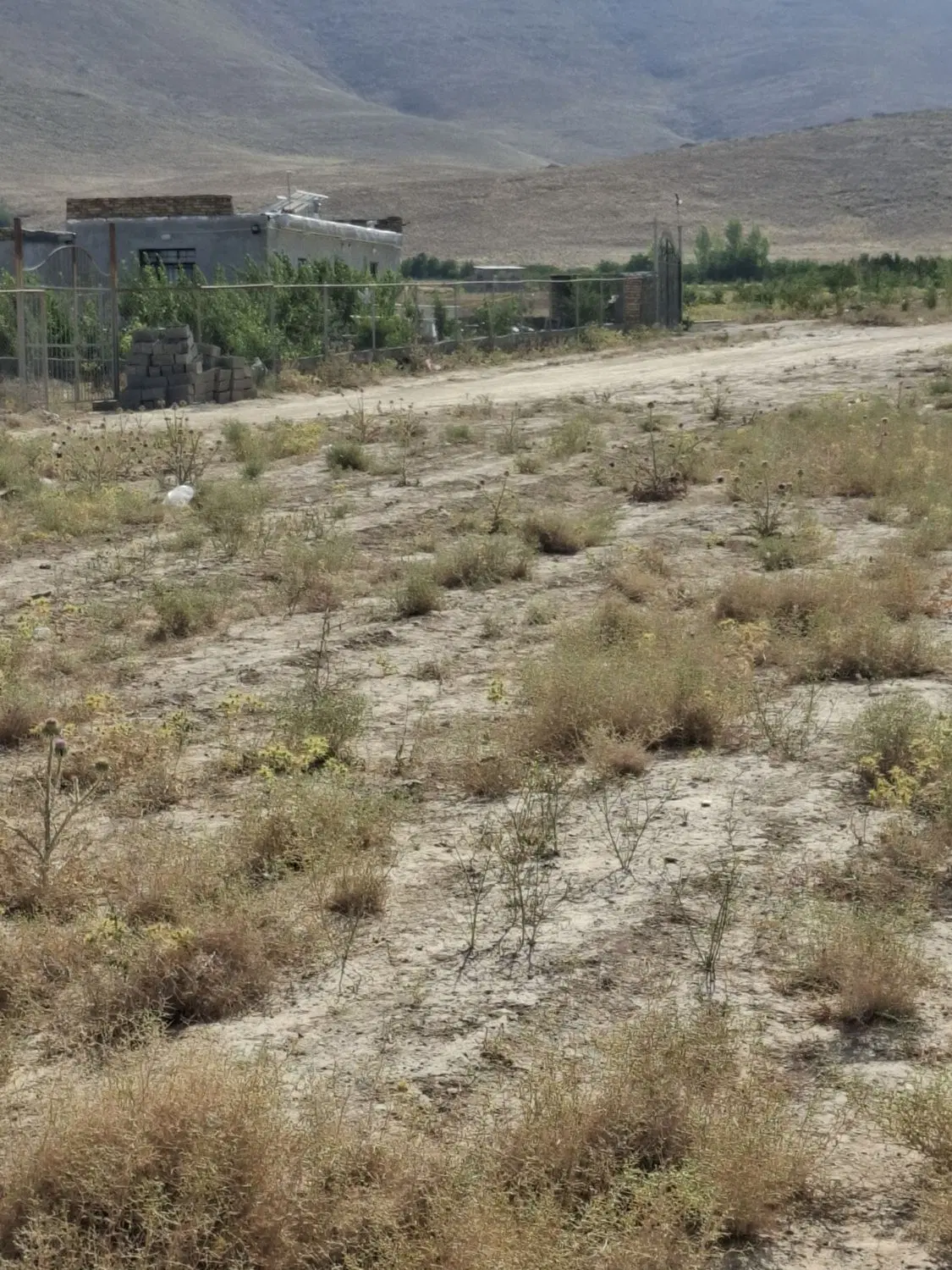 زمین کشاورزی