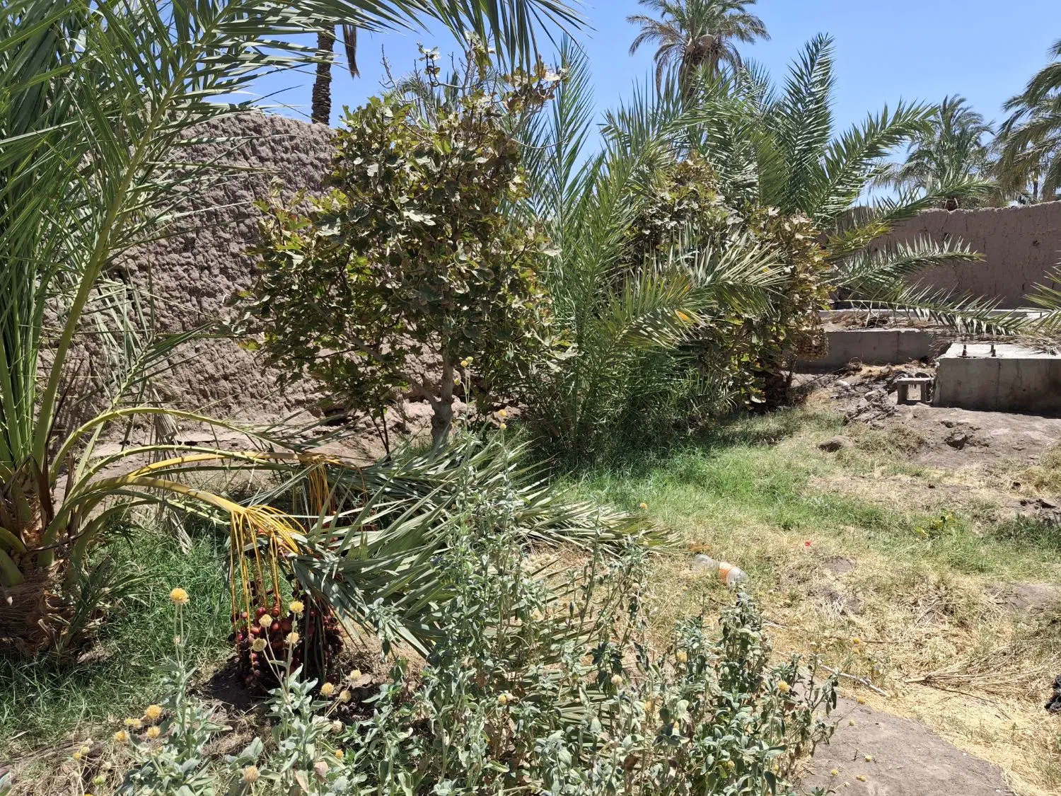 فروش زمین بروات
