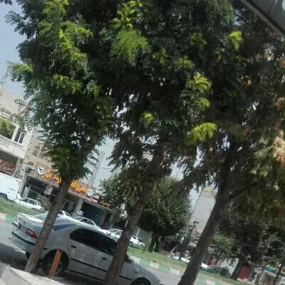 زمین حسن اباد