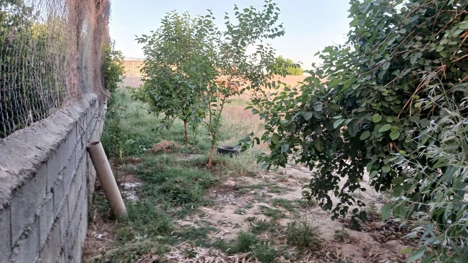 باغ ۱۰۰۰ متری در ابتدای جاده سد اندیمشک