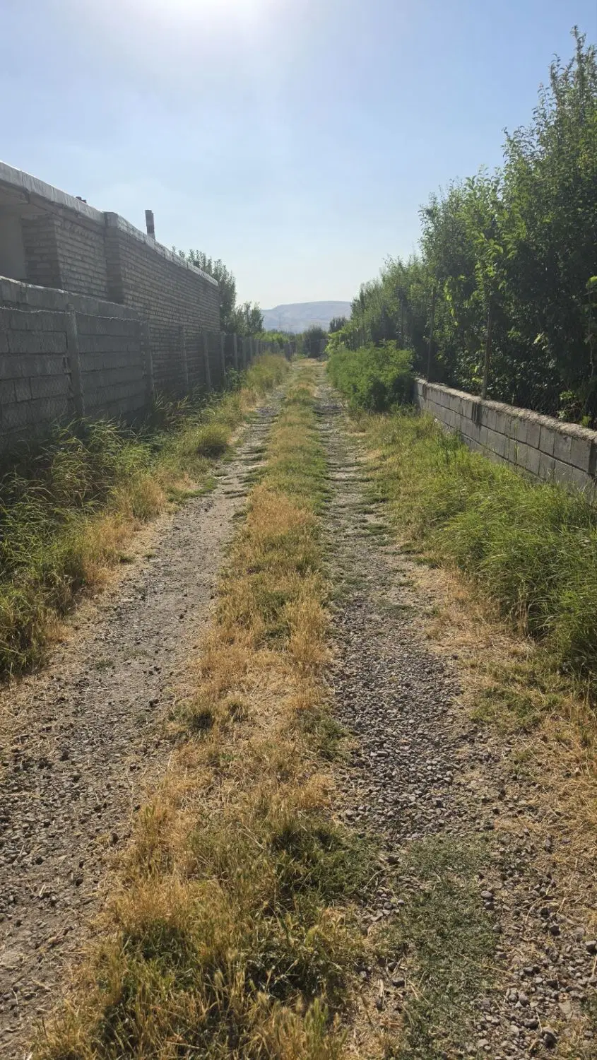 باغچه نزدیک شهر