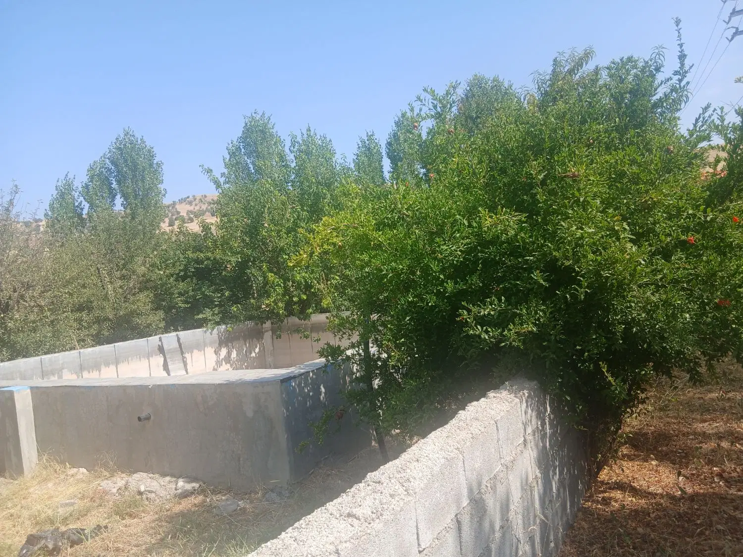 فروش باغ ۱۴هزار متری با ساختمان مجهزاطراف جوانرود