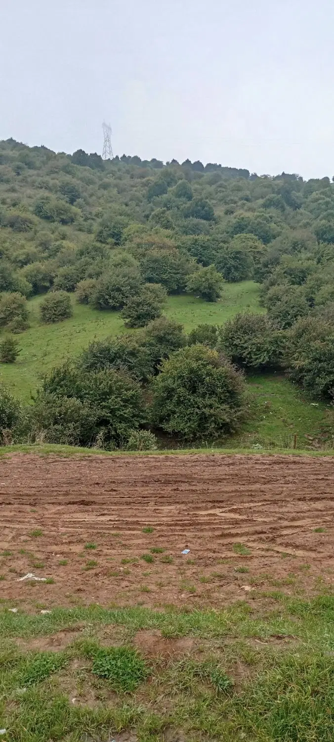 فروش خانه ویلایی