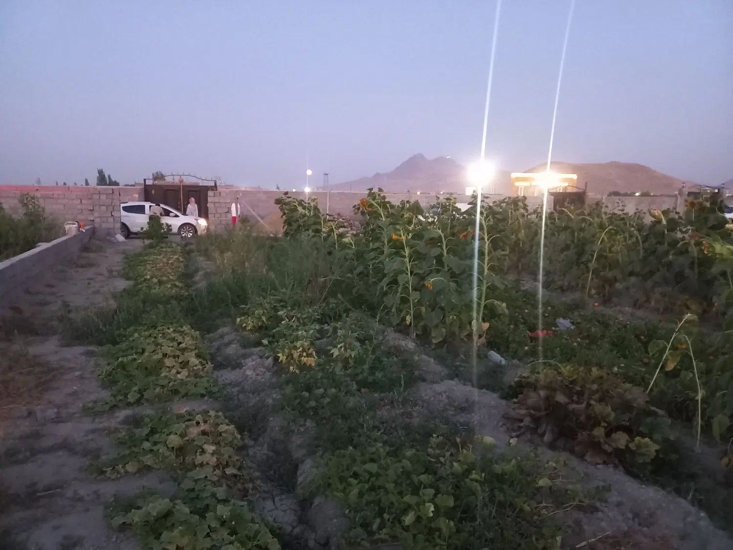۵۰۰مترزمین زراعی بااب وبرق فنس کشی روستای سعیدلو