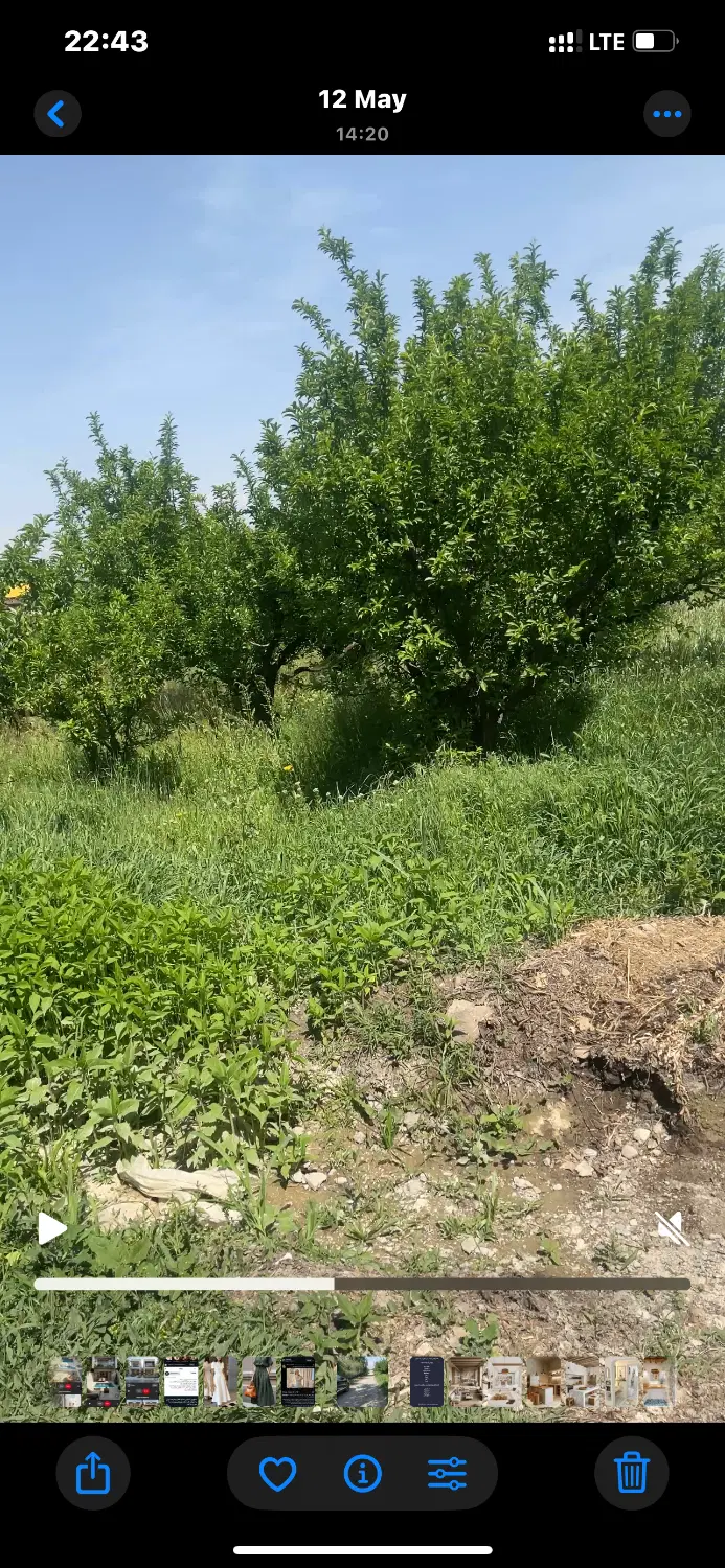 زمین ویلایی