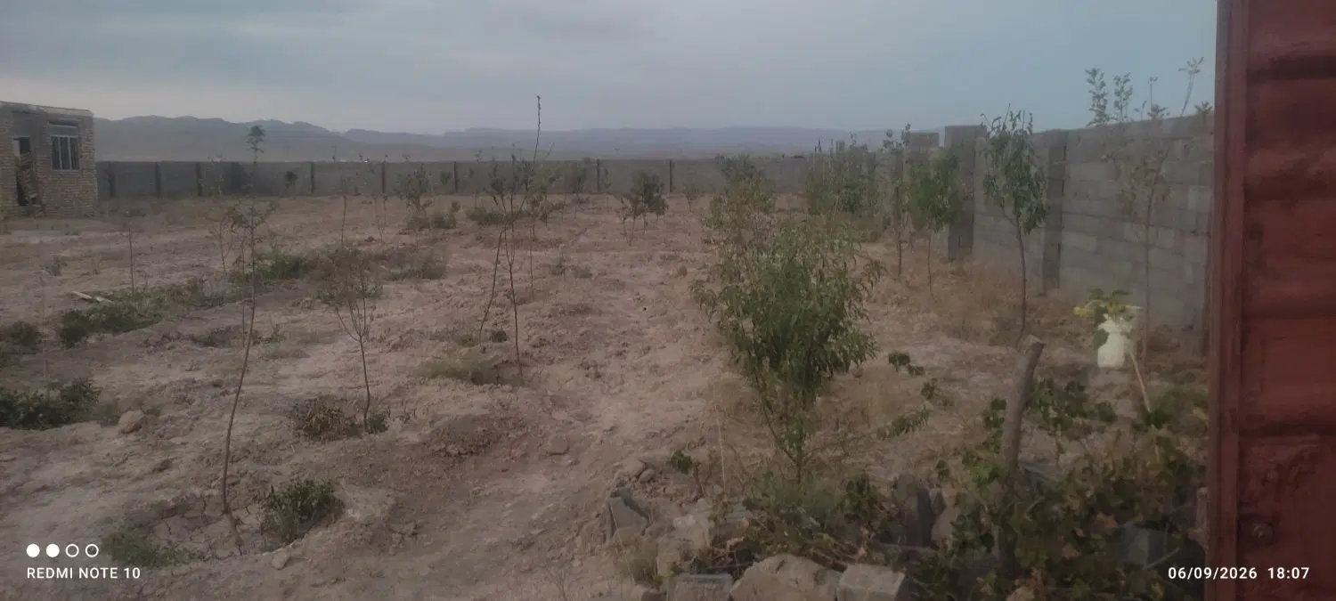 زمین وباغی