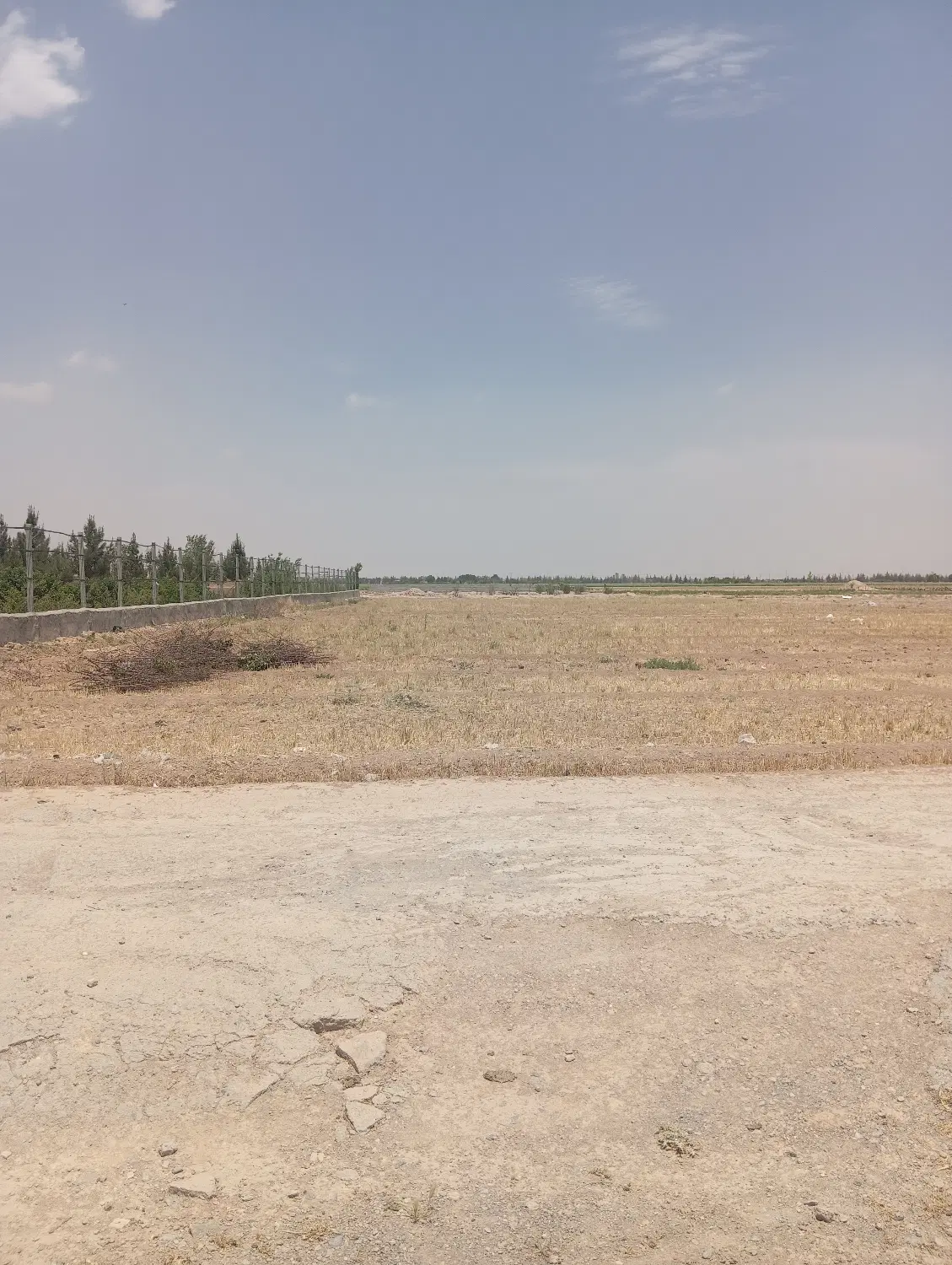 فروش زمین باغی
