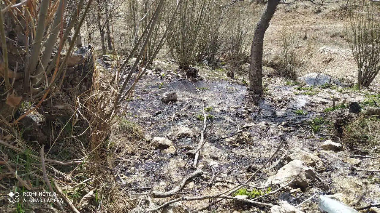 اجاره زمین کشاورزی در فیروزکوه