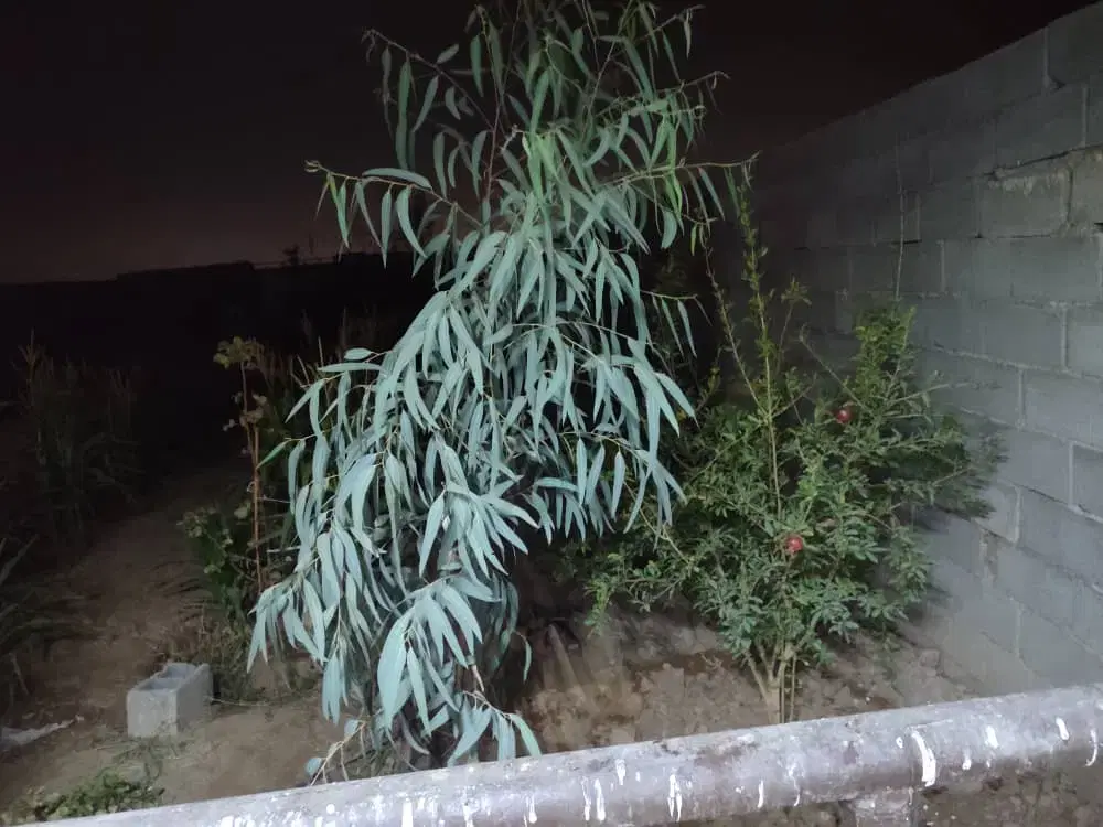 باغ ۸۰۰ متری در جهاد آباد