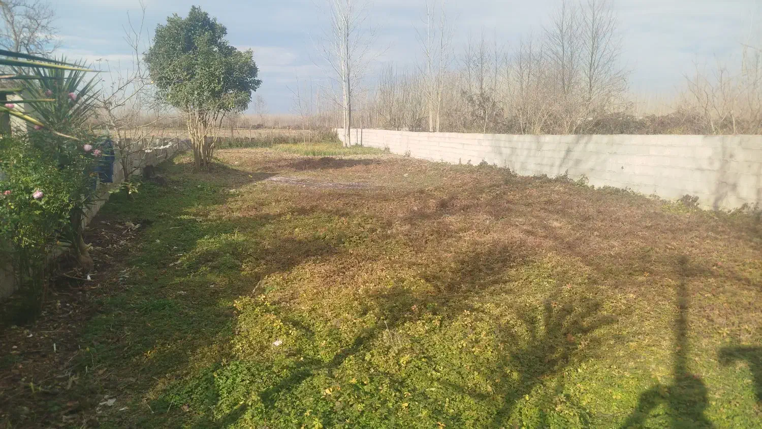 فروش زمین