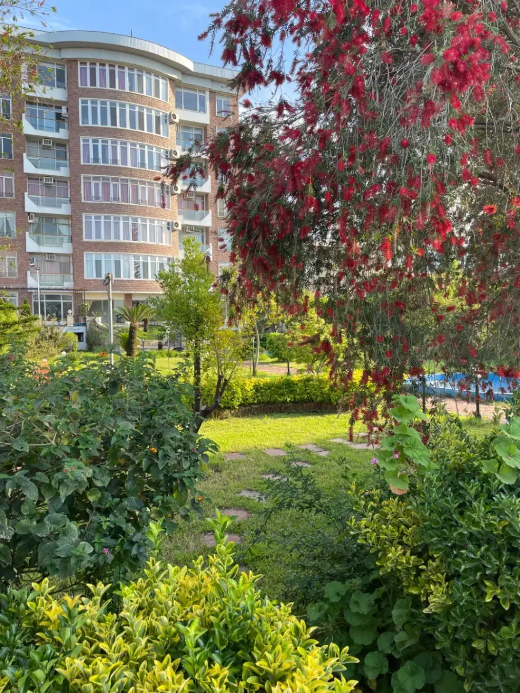 اجاره واحد ۸۵ و ۶۵ متری مجتمع ساحلی هچیرود