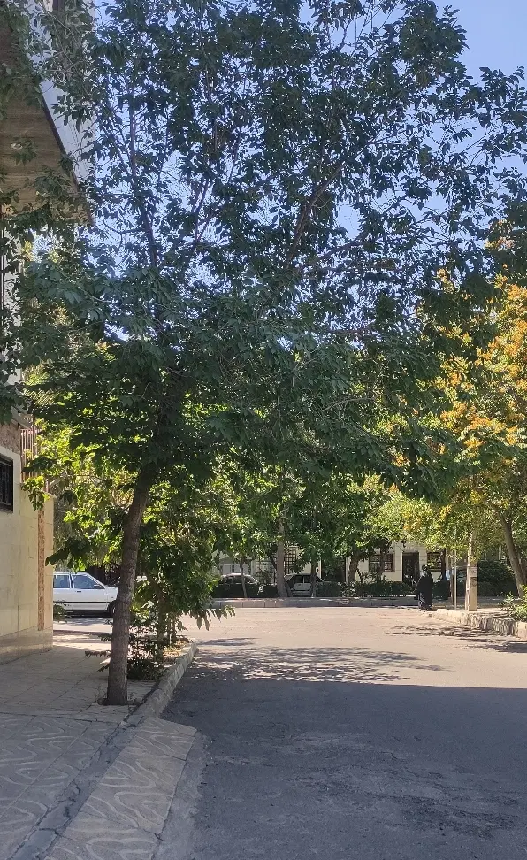 خانه