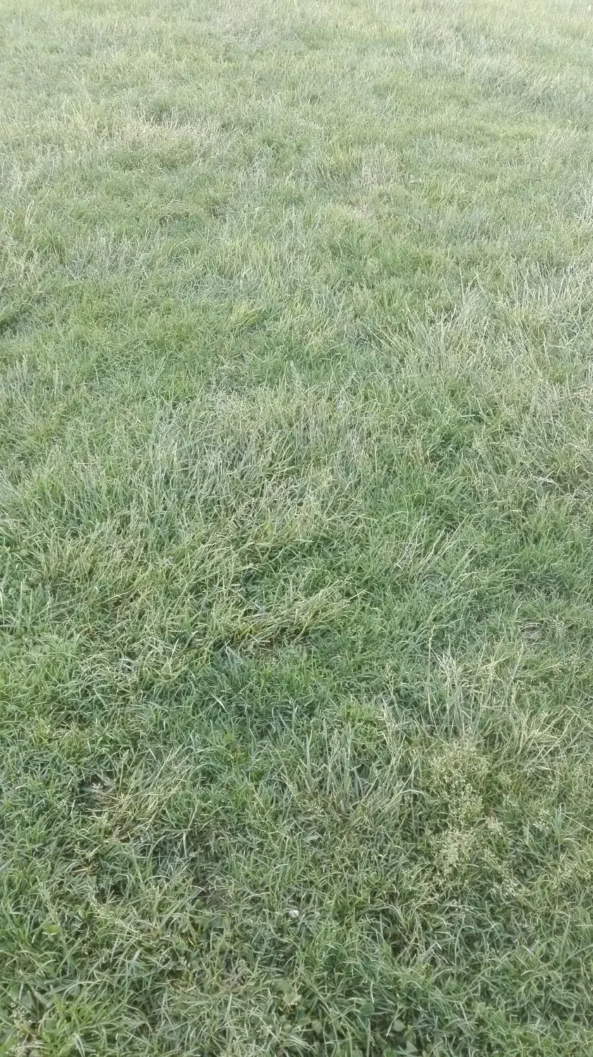 3قطعه زمین خارج محدوده تازه شهر