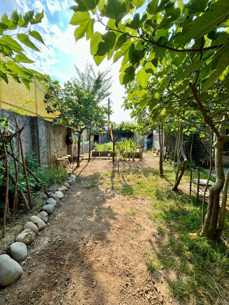 خونه باغ،550متری دارسازی