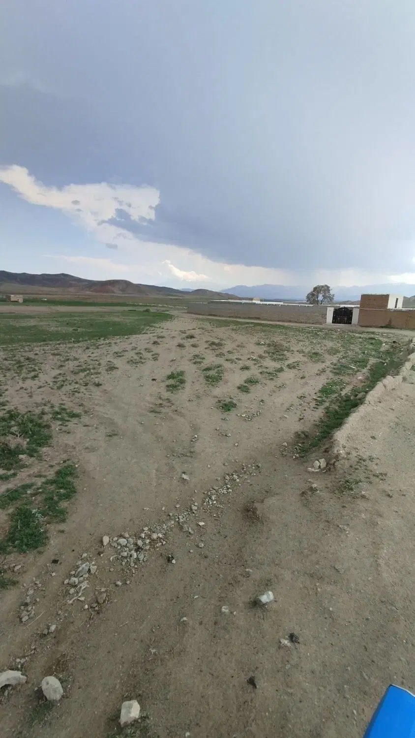 زمین روستای ویچک