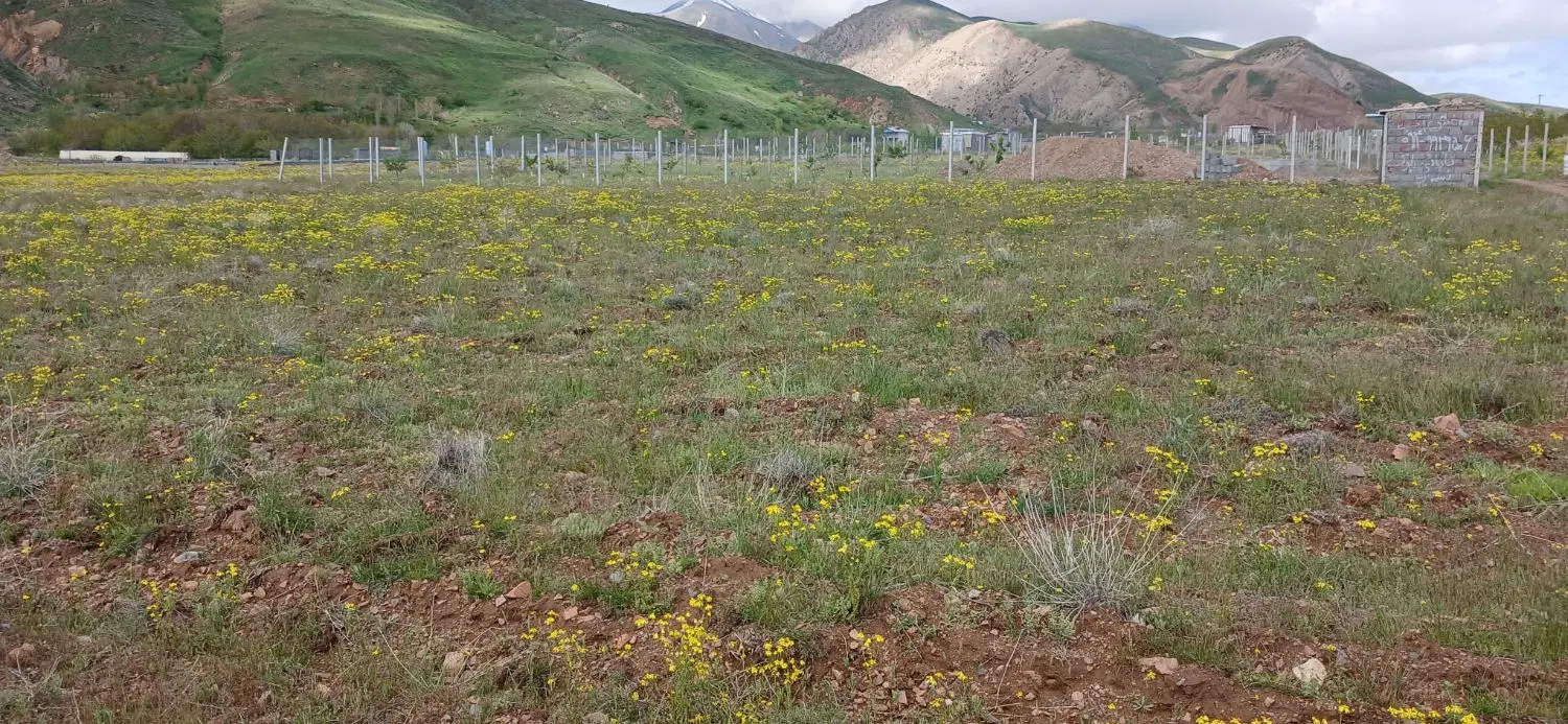 معاوضه زمین ۵۵۰ متری  سند رسمی اوقاف در. سیوان