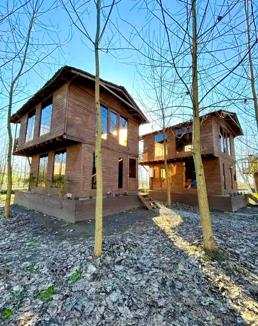 سودی پایدار