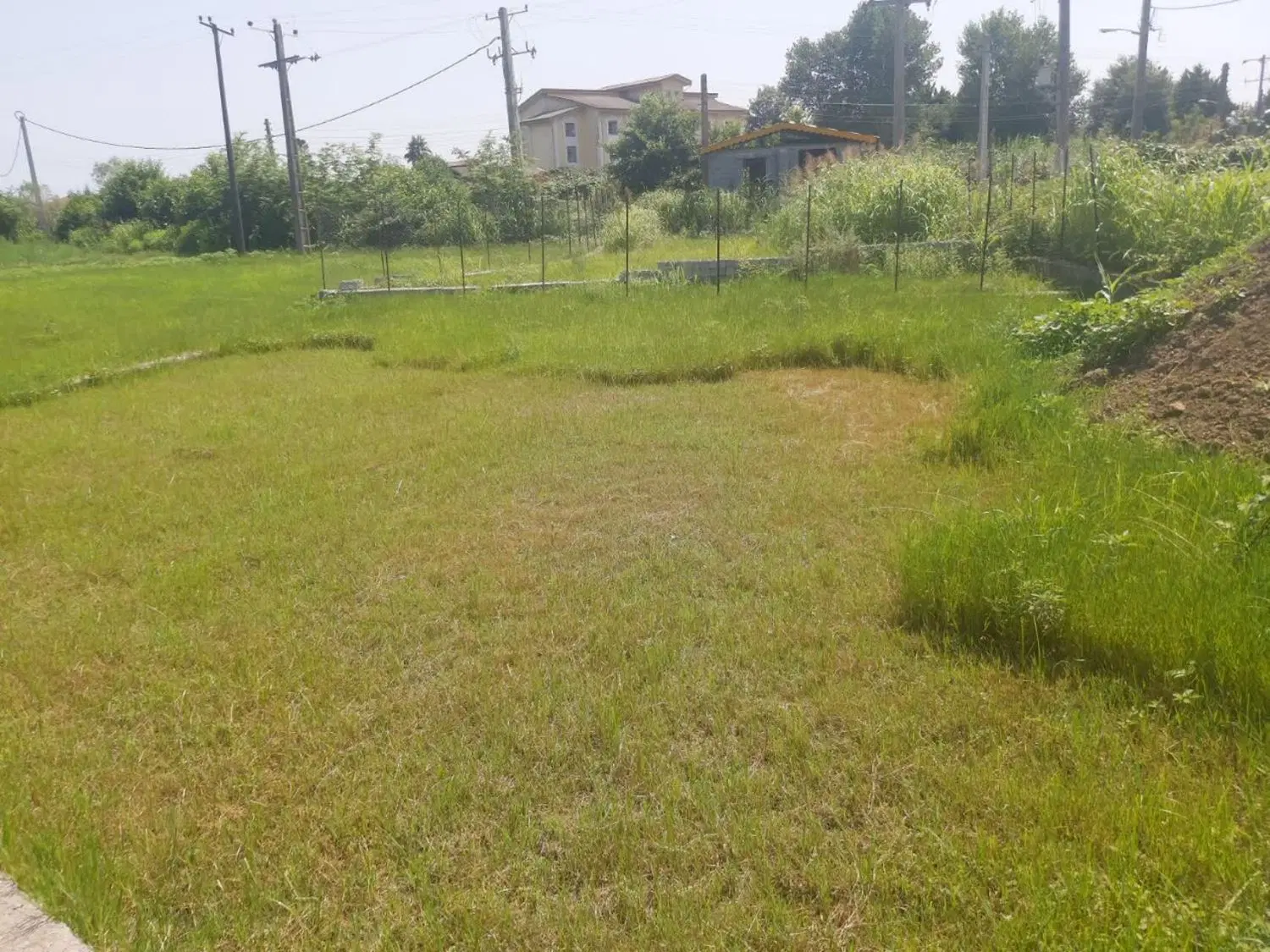 زمین250متری شمال