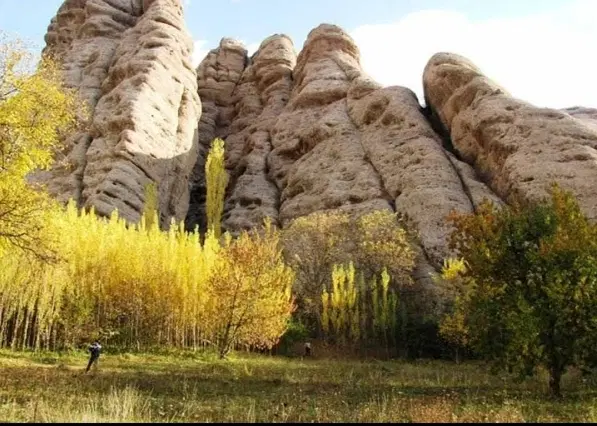 قطعه زمین 300 متری باغ