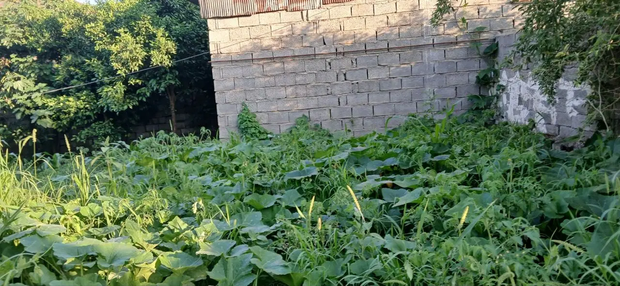 زمین تجاری مسکونی بحر خیابان اصلی پاپکیاده