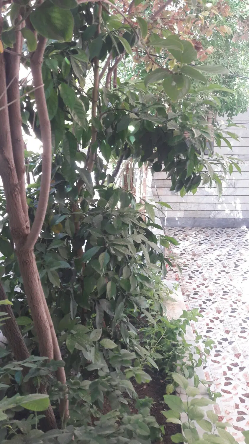 اجاره مسکونی