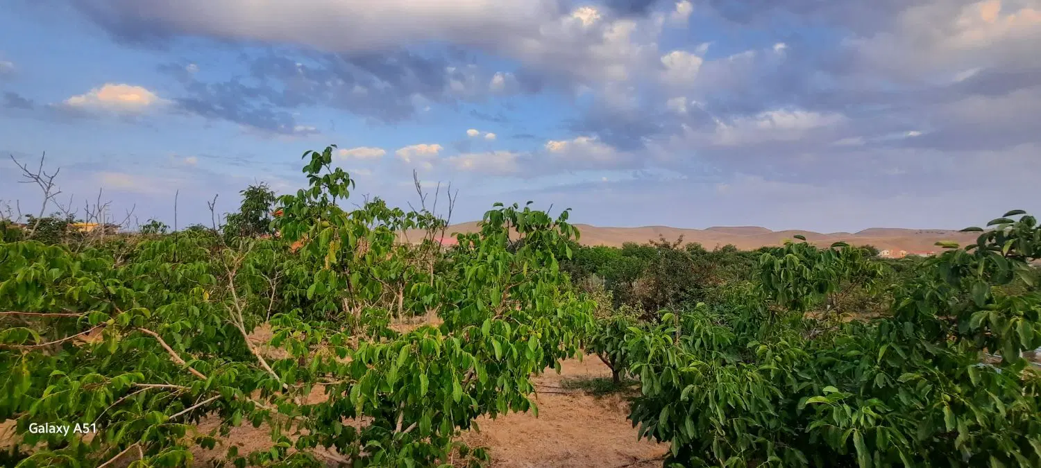 فروش زمین