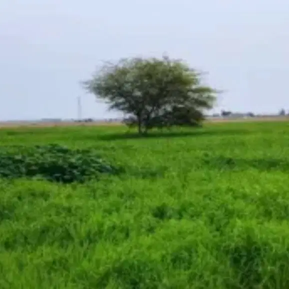 زمین پشت بند دره