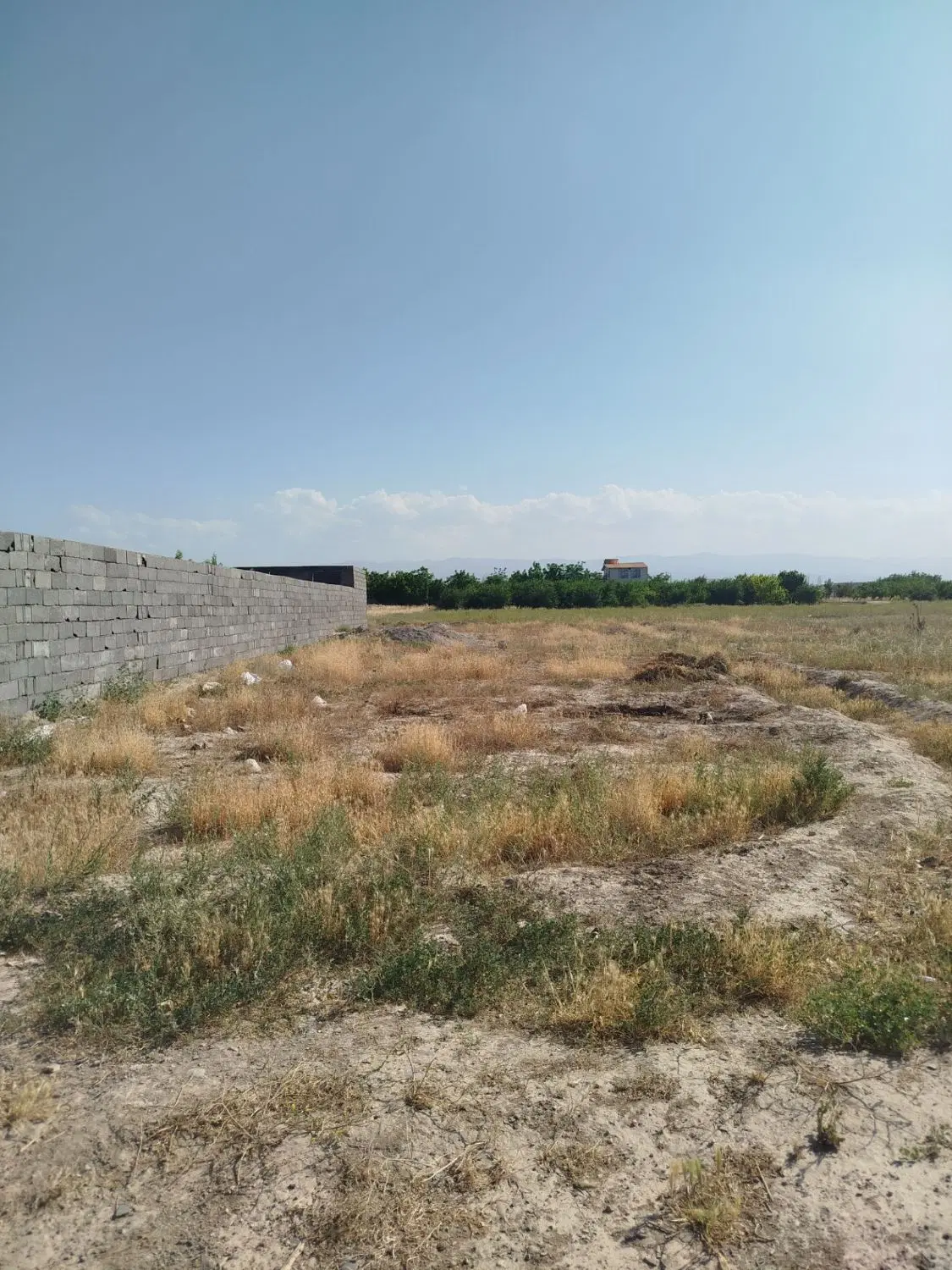 زمین باغی