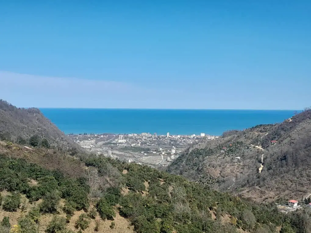 سهم تعاونی ثبت