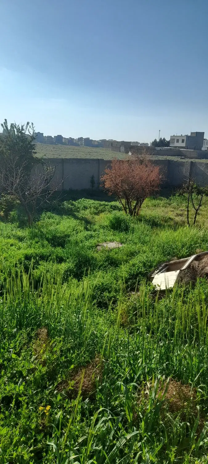 فروش زمین باغی