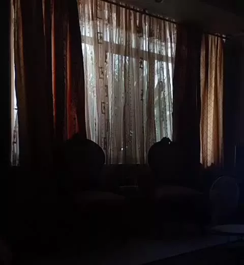 همخانه خانم