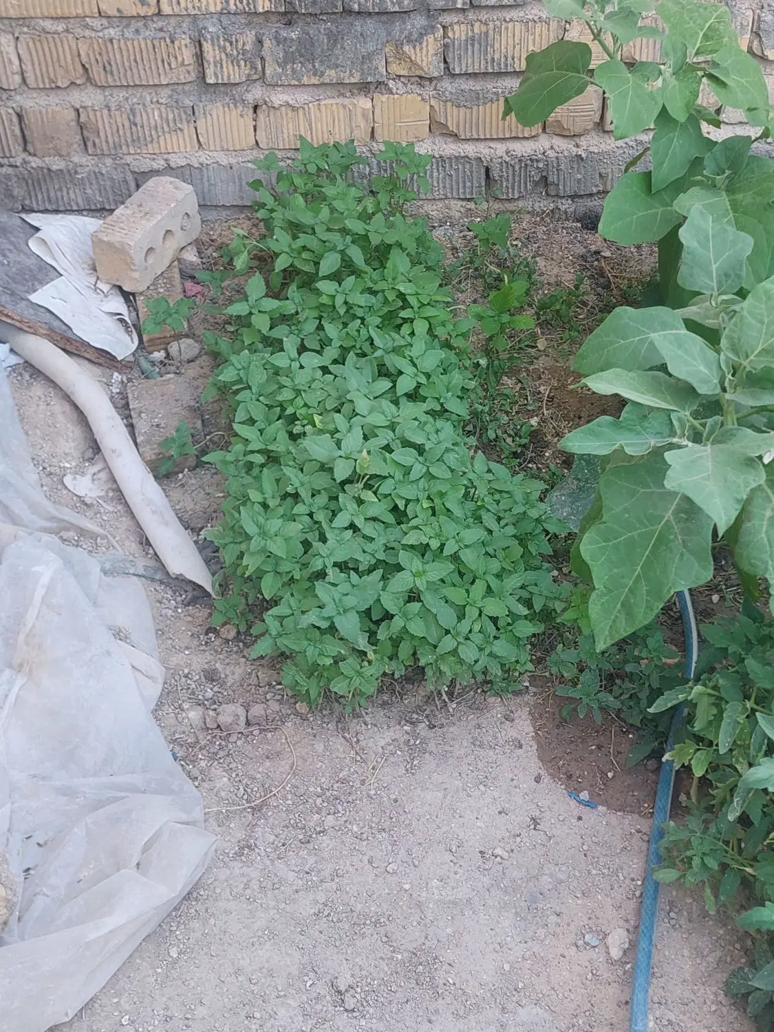 فروش امتیاز ساخت طبقه بالا یامعاوضه باخودرو