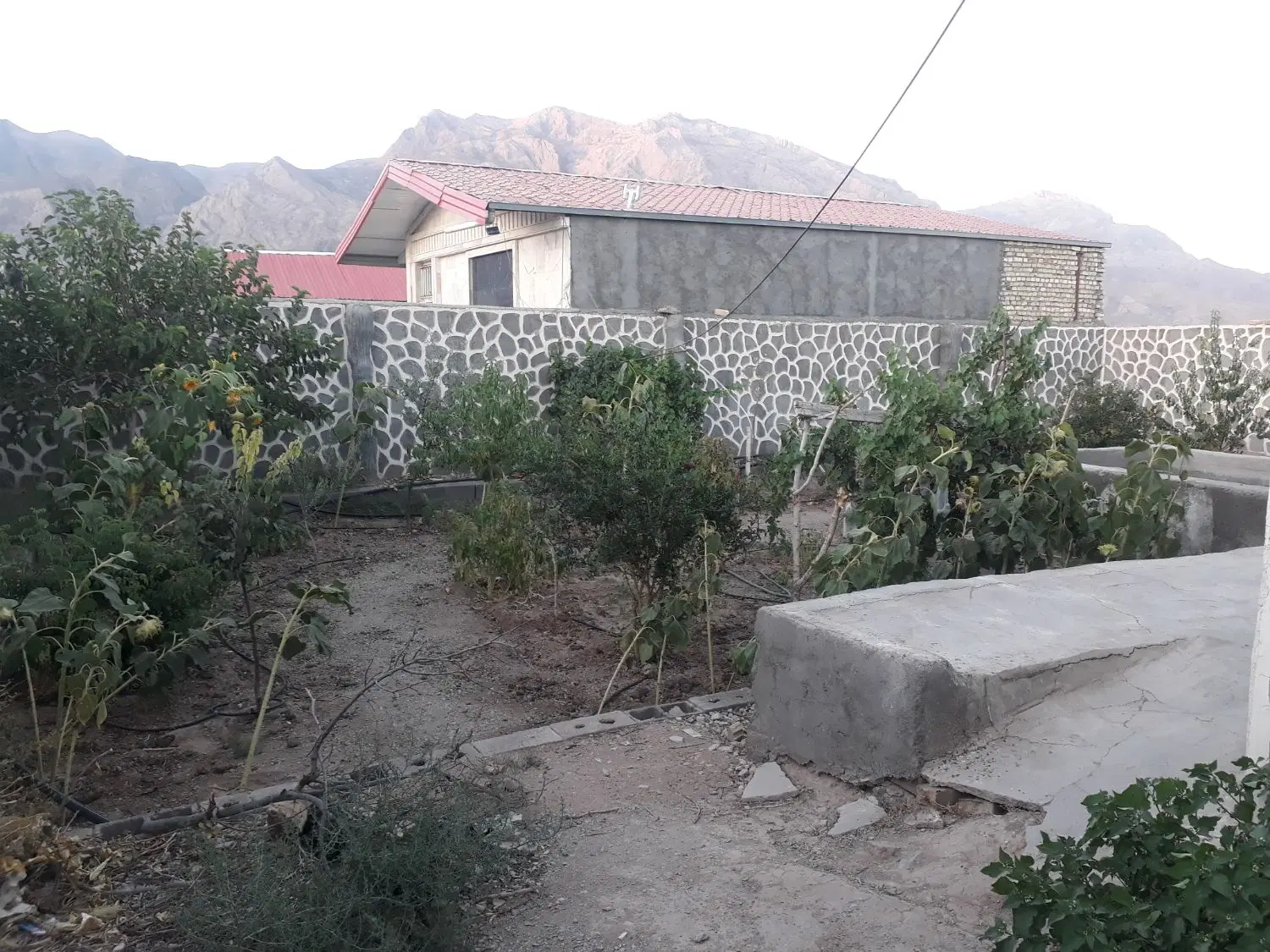 خانه باغ ۴۰کیلومتری یزد بعداز اسلامیه