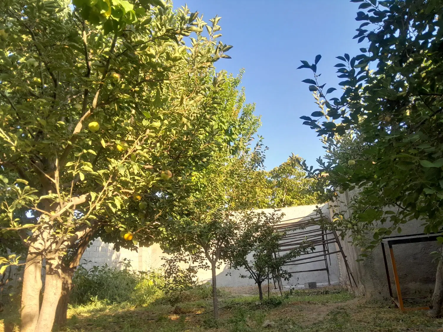 باغچه ۳۵۰ متری اطراف گلبهار