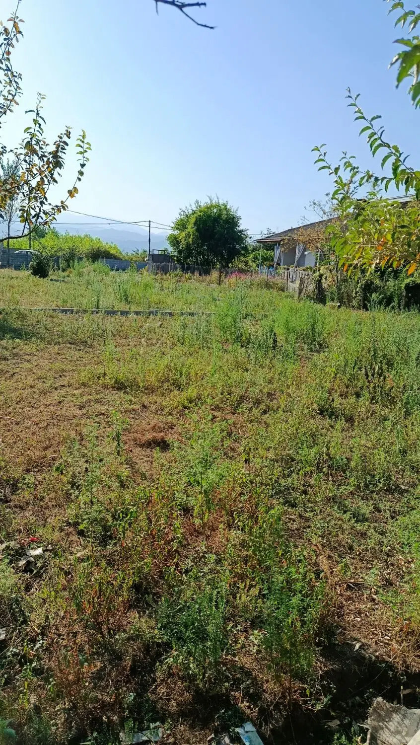 260متر زمین مسکونی