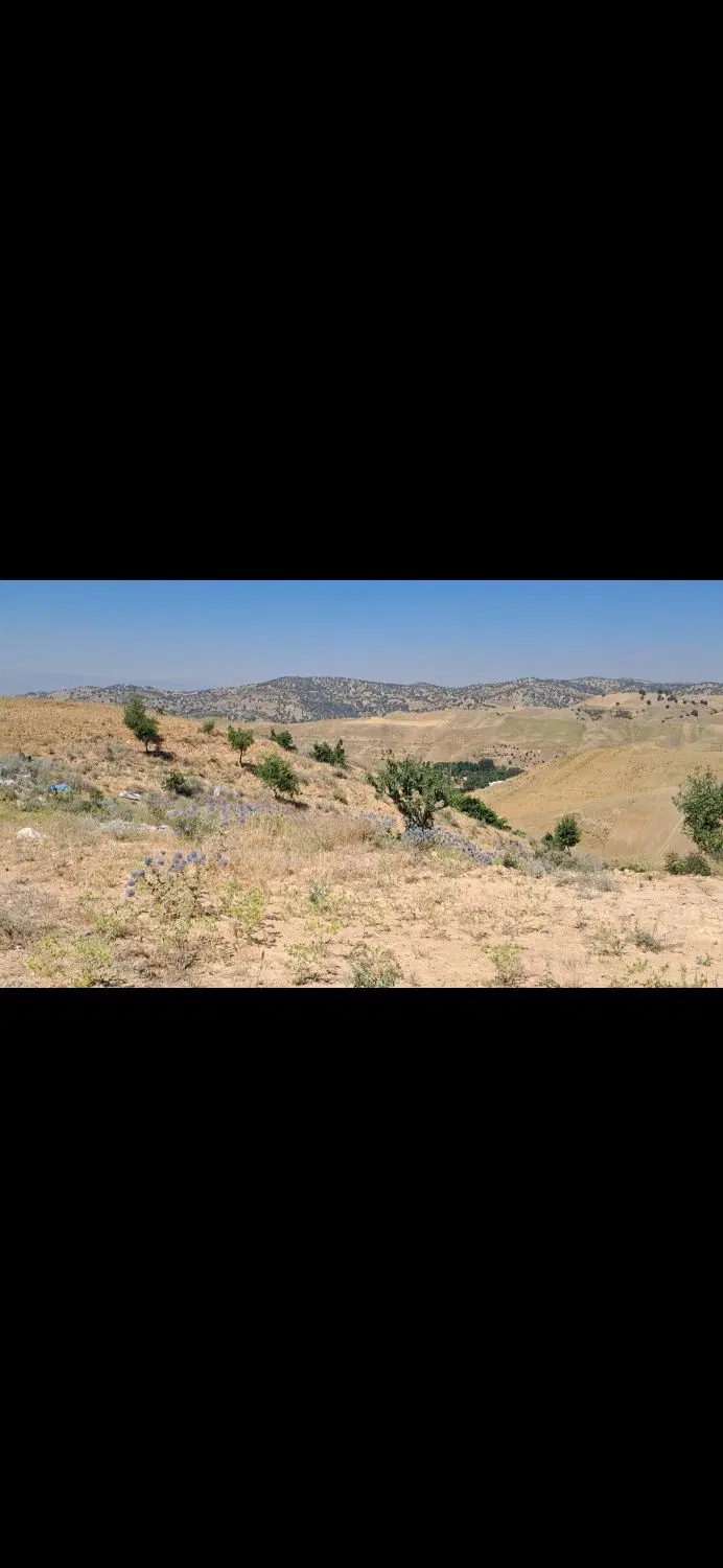 فروش زمین باغ شهری