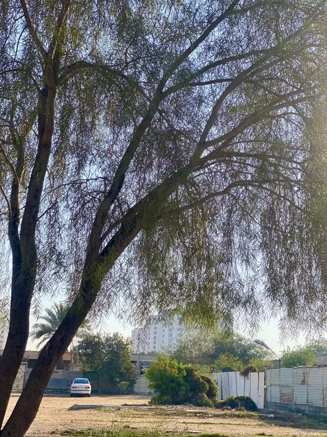 فروش زمین