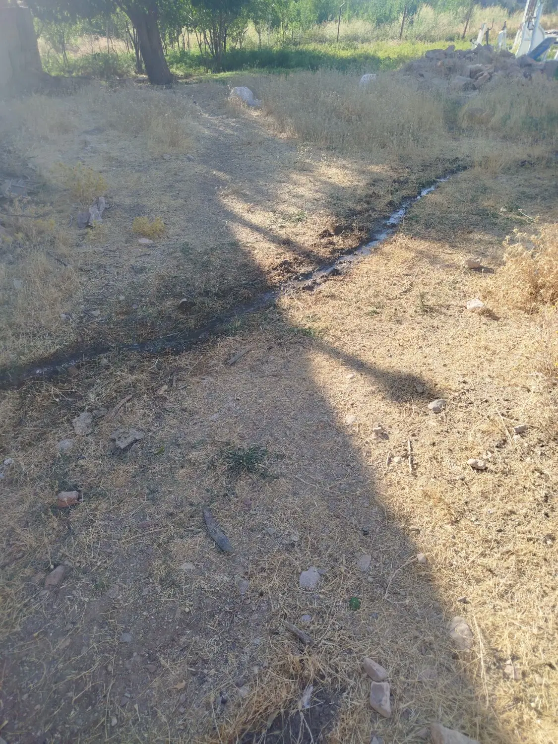 فروش زمین (روستای بیدسرخ شهرستان صحنه)