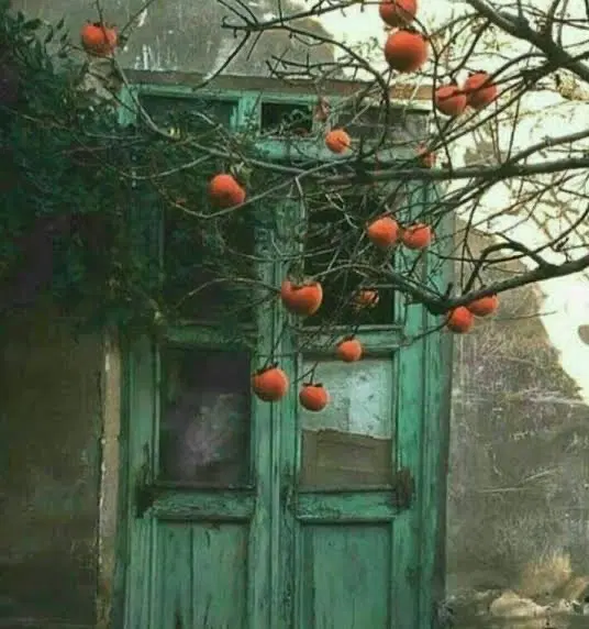 خونه کلنگی قلب بازار
