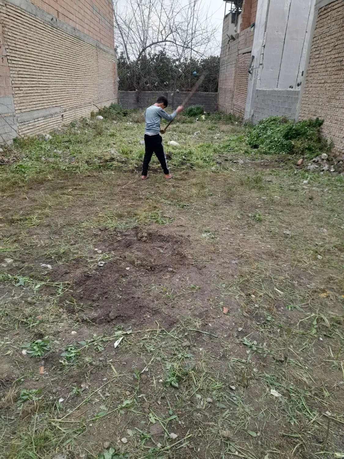 زمین در گرگان