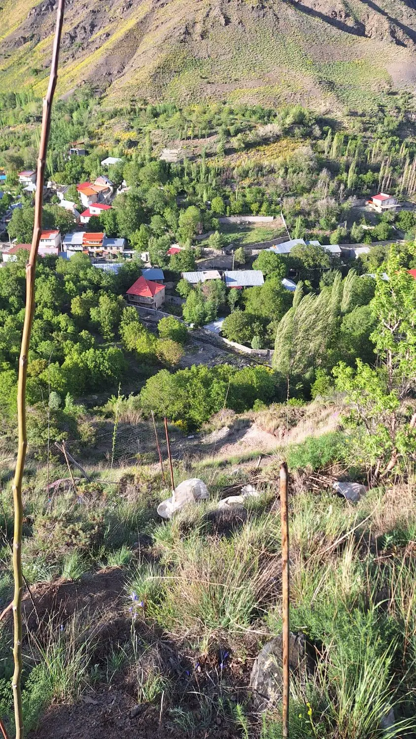 باغچه هویر دماوند