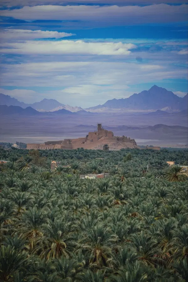 فروش زمین