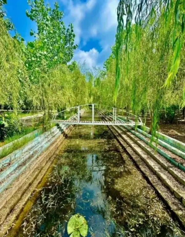 با قیمت اقتصادی ویلا بخرید