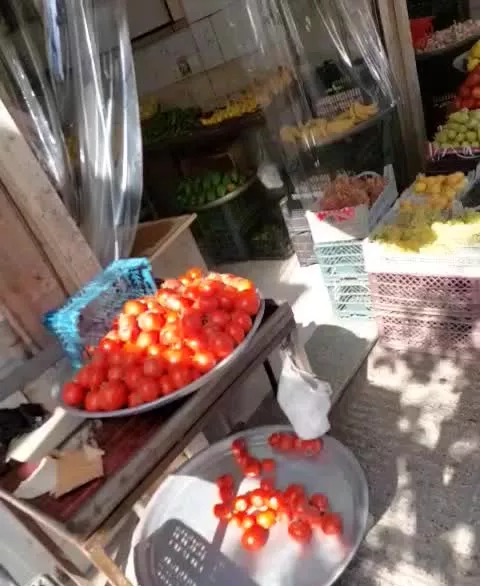 اجاره مغازه میوه فروشی