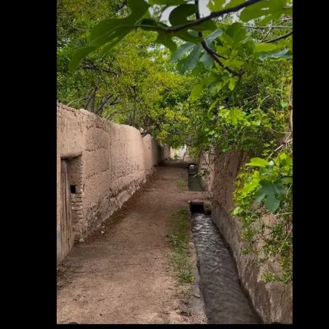 خونه ویلایی خ کشاورز بلوار آزادی پشت شرکت نفت