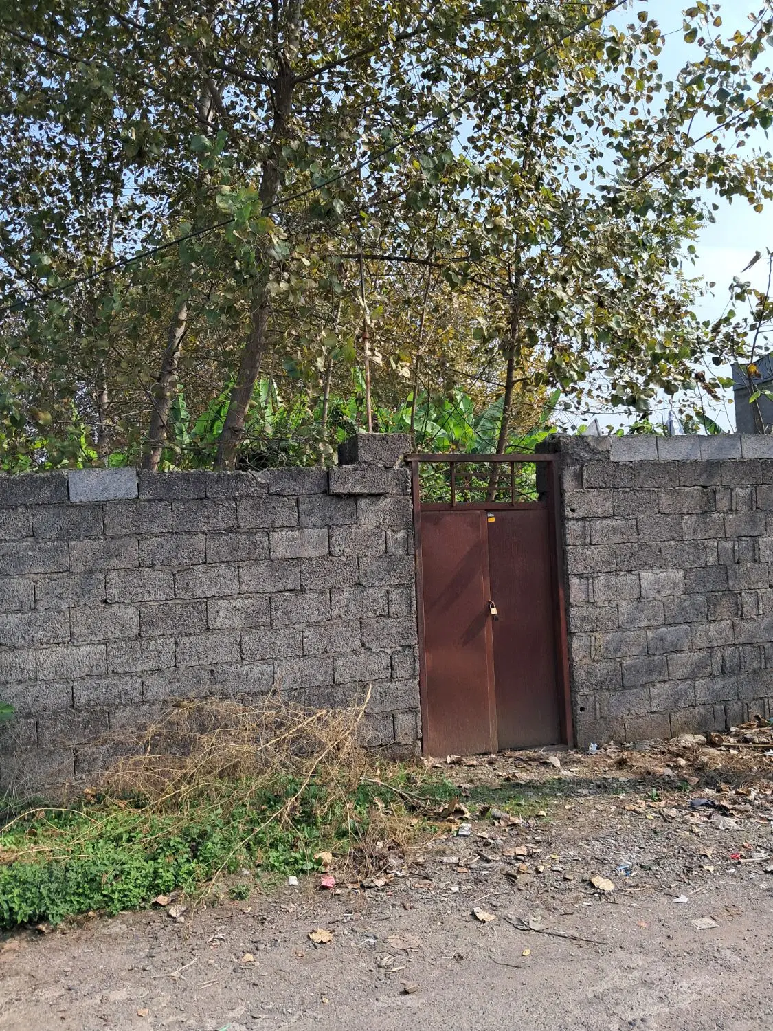 زمین در احمد گوراب رشت